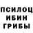 Галлюциногенные грибы Cubensis Oleg Dyatlp