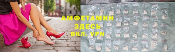 сатива Беломорск