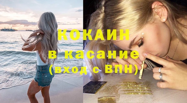 сатива Беломорск