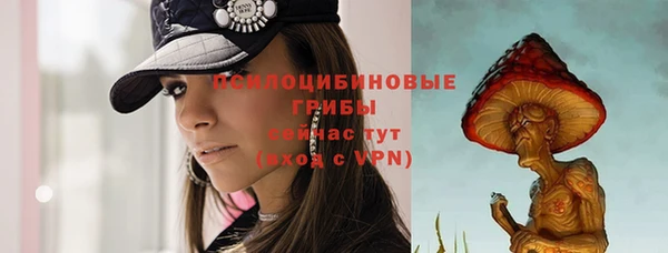 сатива Беломорск