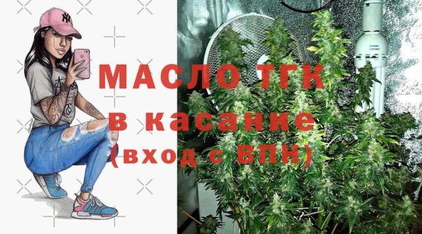 сатива Беломорск