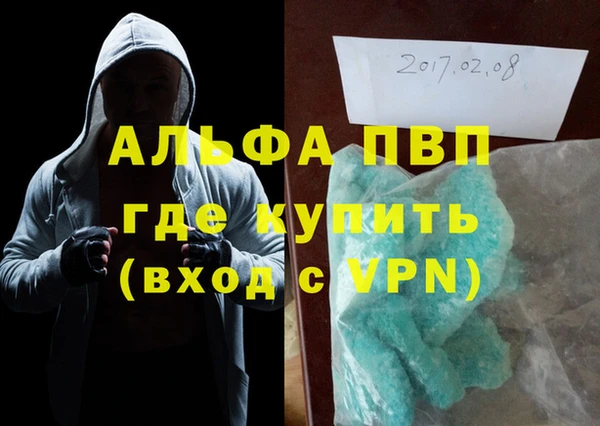 сатива Беломорск