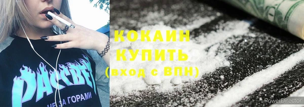 сатива Беломорск